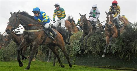 grand national runners and riders|Grand National Runners and Riders, covering all the horses, .